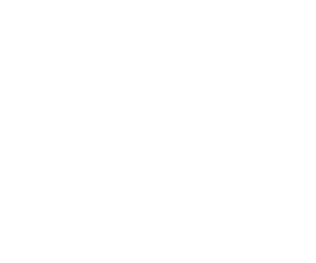 Torreauroracinqueterre - 